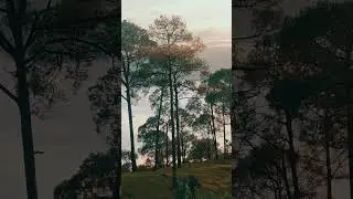 nature perfection🌿🌷❤️ #youtubevlogger #vlog #travel #youtubevlogvideo #shortsviral #pleasesubscribe