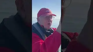 What Life Lessons Can We Learn from the Sea?