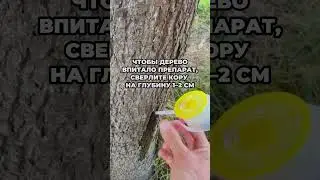 Некоторые ошибки, возможные при установке препаратов Mauget. Техника стволовых микроинъекций