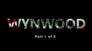 Wynwood Arts District Documentary Part 1 of 2