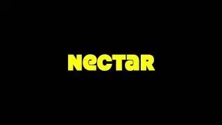 Ashley Sorrell - Nectar