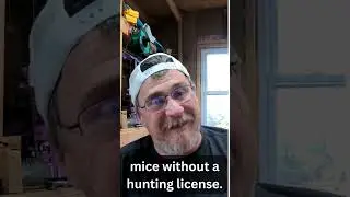 Can you belive these Crazy Animal Laws