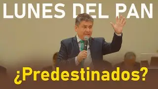 ¿Predestinados? Profesor Alexander Herrera | Lunes del pan 03/02/2025
