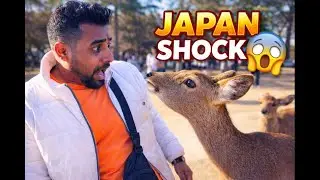 Japan Me Ye Sab Dekh Kar Shock Lag Gaya 😱 | Nara Deer Park to Kyoto