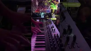 Mushroom Jazz With Mycolyco on Keys and Reishi on Synth: Biodata Sonfication Mushroom Music