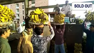 Banana Sale (Bidding) market Lahore Pakistan | Fruit Mandi main Banana ki Boli | Lahore sabzi mandi