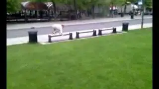 parkwhore 6.mp4