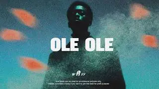 Afrobeat instrumental 2026 ft Fola 