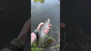 #fishingaddict #troutfishing #fishingadventure #christiancasts