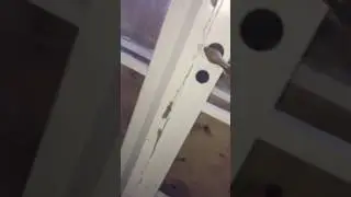 Det sp&oslash;ger p&aring; H&oslash;rsholm Hospital
