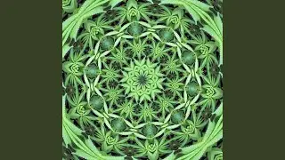 Time perception