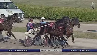 Aversa trotto 31 Dicembre 2025 - 2° Corsa