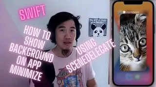 iOS Development - Privacy Screen - (SceneDelegate) Concealing info when the app goes into background