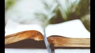 Wednesday Evening Pastor's Prayer & Bible Study