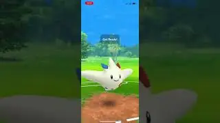 Pokemon Go - All-Hands Rocket Retreat - Team Rocket Battle - Togekiss vs Stunky, Raticate, Honchkrow