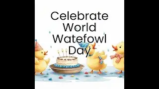 Celebrating World Waterfowl Day - with Inspiration for Kids (Juniors & Educators)