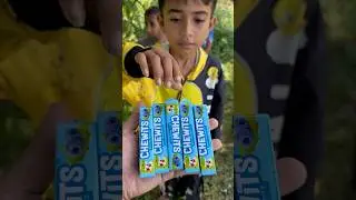 Yummy Bites CHEWITS Blueberry 🫐 Flavour Gummy Candy eating by #villagee |#viralvideo #shorts #fypシ゚