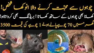 Ghar main 100 Cohay Rakhny Wala Nojwan| hamster as pet| Pets lover story | Ali Hamza