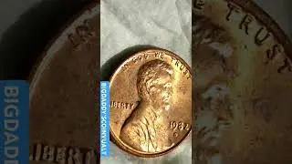 1982 D Small Date ERROR