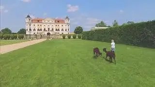 LamaGold - lamatrekking zámek Milotice