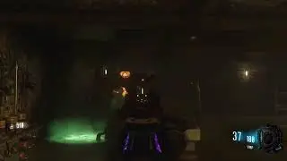 Solo EEgg