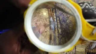 Introduction to banana fiber mosaic.