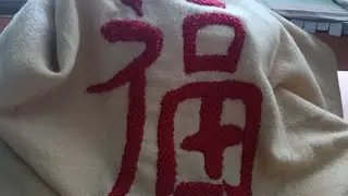 2026 CNY table cloth #handmade #diy #embroidery #slowstitch 