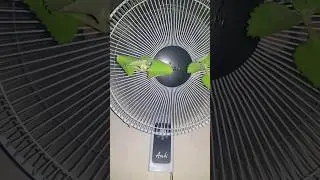Asahi 623 turning off