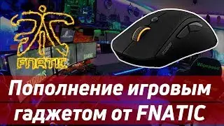 ИГРОВАЯ МЫШКА FNATIC FLICK G1 ! СТОИТ ЛИ ПЛАТИТЬ 60 ЕВРО ?