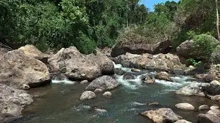 Powerful Forest Stream Over Rocks | Relaxing River Sounds for Calm and Clarity