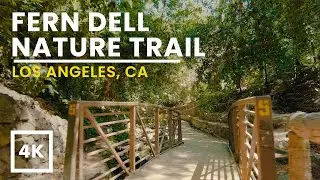 Fern Dell Griffith Park Walking Tour | 4K