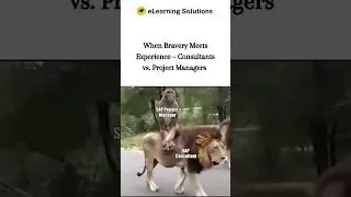 When Bravery Meets Experience &ndash; Consultants vs  Project Managers