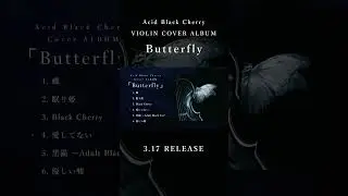 Acid Black Cherry ヴァイオリンカバーアルバム｢Butterfly｣ 3.17デジタルリリース