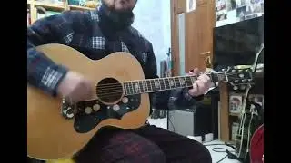 Antoria Folk 698M - The Wonderwall Guitar