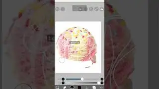 #speedpaintingsexperience #art #ibispaintx #drawing #drawingsoftware #digitalartsoftware #drawingapp