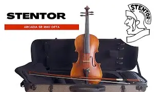 Skrzypce Stentor Arcadia SR1880 OFTA