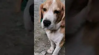 Huawei Nova 5T sample photos raw