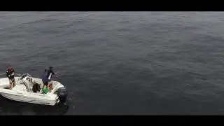 Bluefin Tuna fishing in TopWater in the SouthWest