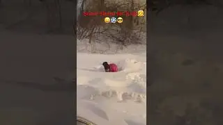 Snow Storm for kids❄️vs Adults#snow #storm#shortsfeed #shortvideo #usa #marathi #vlog #funny #yt