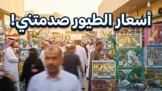 زيارة سوق الطيور في سوق القطيف المركزي | جولة مذهلة وأسعار لم أتوقعها