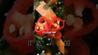 If You Have An Autoimmune Condition, Watch This! 👉