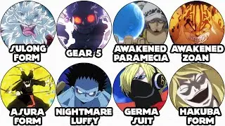 Every Transformation From One Piece Explained in 12 Minutes