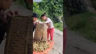 Single mother sells strawberries with her child every day