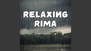 Sleepyechoes: Soft Rain Sounds for Deep Relaxation
