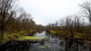 The Maple River
