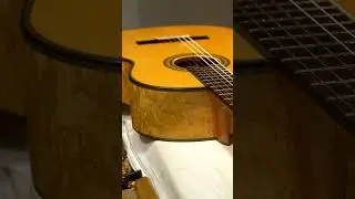 PAULINO BERNAB&Eacute; Luthier (vertical)