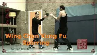 Wing Chun  Sparring,  Rotterdam,  Delft, Alphen aan den Rijn, Gouda, Waddinxveen,