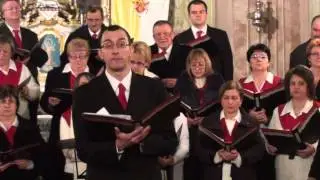 Vox Animi