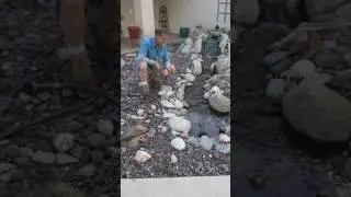 Pondless with VIVID PROSKIM.