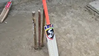 Backyard Cricket Live